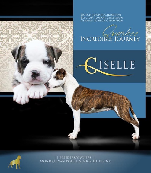 Giselle